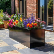Rows of long troughs filled with vibrant blooms.